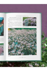 Селезнева Т.А. Секреты малоуходного сада. Как создать дизайн участка с неприхотливыми декоративными растениями