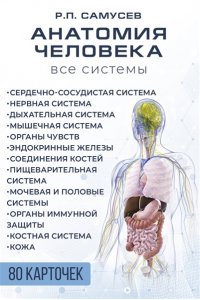 Самусев Р.П. Анатомия человека. 80 карточек. Все системы