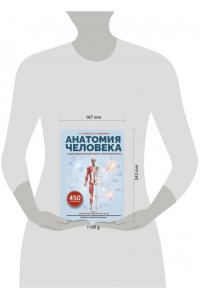 Самусев Р.П., Николенко В.Н. Анатомия человека. Опорно-двигательный аппарат, внутренние органы