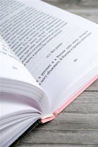 Нори П. Невероятная жизнь Анны Ахматовой. Мы и Анна Ахматова