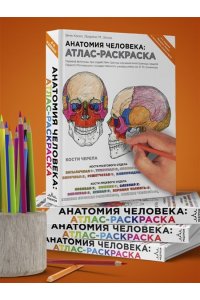 Анатомия человека: атлас-раскраска