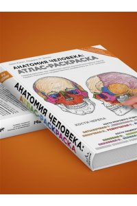 Анатомия человека: атлас-раскраска