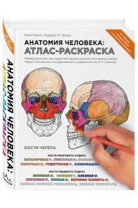 Анатомия человека: атлас-раскраска