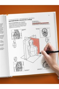 Анатомия человека: атлас-раскраска