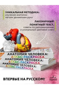 Анатомия человека: атлас-раскраска