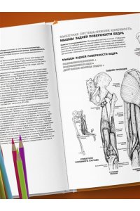 Анатомия человека: атлас-раскраска