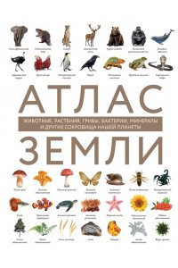 Михайлова Р.В. Атлас Земли. Животные, растения, грибы, бактерии, минералы и другие сокровища нашей планеты