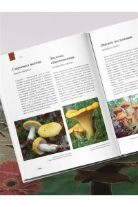 Михайлова Р.В. Атлас Земли. Животные, растения, грибы, бактерии, минералы и другие сокровища нашей планеты