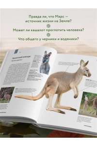 Михайлова Р.В. Атлас Земли. Животные, растения, грибы, бактерии, минералы и другие сокровища нашей планеты