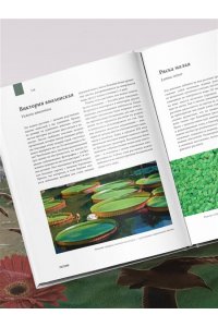 Михайлова Р.В. Атлас Земли. Животные, растения, грибы, бактерии, минералы и другие сокровища нашей планеты