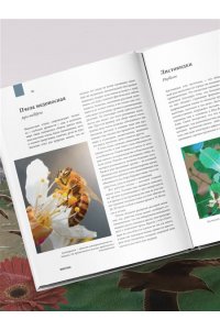 Михайлова Р.В. Атлас Земли. Животные, растения, грибы, бактерии, минералы и другие сокровища нашей планеты