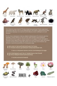 Михайлова Р.В. Атлас Земли. Животные, растения, грибы, бактерии, минералы и другие сокровища нашей планеты