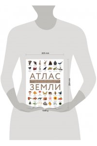 Михайлова Р.В. Атлас Земли. Животные, растения, грибы, бактерии, минералы и другие сокровища нашей планеты