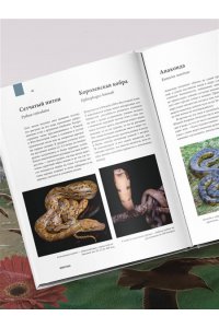 Михайлова Р.В. Атлас Земли. Животные, растения, грибы, бактерии, минералы и другие сокровища нашей планеты