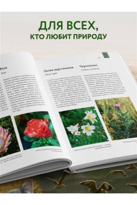 Михайлова Р.В. Атлас Земли. Животные, растения, грибы, бактерии, минералы и другие сокровища нашей планеты