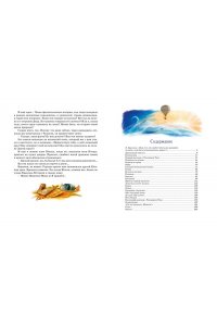 Крапивин В. Дети синего фламинго