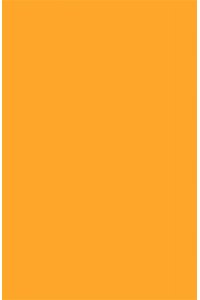 Незнайка на Луне (ил. Г. Валька)