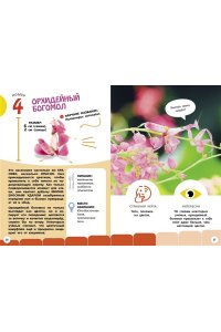 Банфи К. Самые необычные животные и места мира