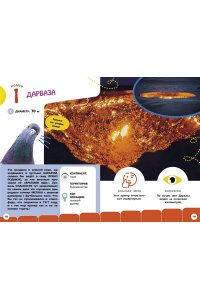 Банфи К. Самые необычные животные и места мира