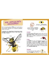 Банфи К. Самые необычные животные и места мира