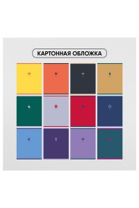 ТЕТР ПРЕДМЕТ КОМПЛЕКТ ( 12 ШТ) 48Л BG MONOCOLOR. ELEMENT 12ШТ ТПК5СК48_ЛС_ВЛ 11593 (5763)