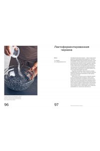 Редзепи Р., Зильбер Д. Гид по ферментации от Noma