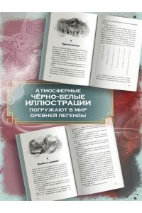 Райзер С. Вуконг. Сердце обезьяны
