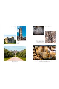 Уэйр Э. Королевы эпохи рыцарства