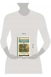 Гоголь Н.В., Достоевский Ф.М., Чехов А.П. Серебряная метель. Рождественские истории и святочные рассказы