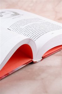 Тэнло В. Светлый пепел луны. Книга 1
