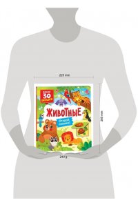 Котятова Н. И. Книги с окошками. Животные