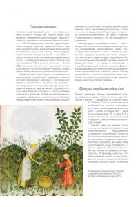 Бьенасси Л. Большая история гастрономии. Кулинарное искусство Франции: от Средневековья до Новейшего времени