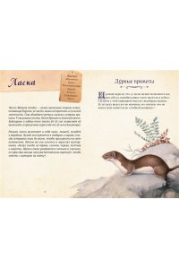 Кроль-Терзаги Д. Магические животные. Легенды и суеверия