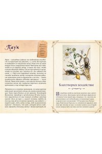 Кроль-Терзаги Д. Магические животные. Легенды и суеверия