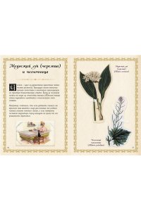 Лаис Э. Маленький гримуар ведьмы. Зелья и волшебные травы