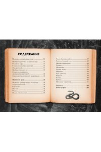 Лаис Э. Маленький гримуар ведьмы. Зелья и волшебные травы