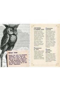 Лаис Э. Маленький гримуар ведьмы. Зелья и волшебные травы