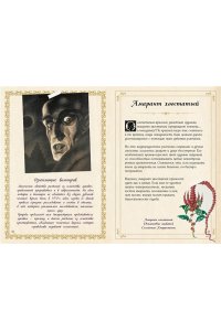 Лаис Э. Маленький гримуар ведьмы. Зелья и волшебные травы