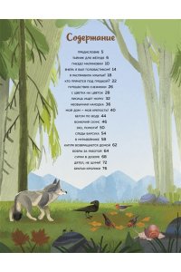 Вилла А. Кто живёт в лесу? Иллюстрированный атлас животных