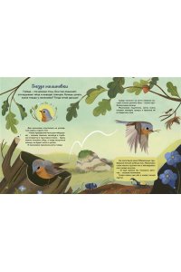 Вилла А. Кто живёт в лесу? Иллюстрированный атлас животных