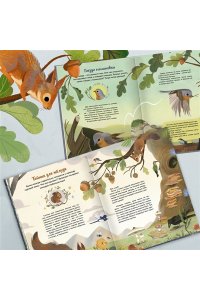 Вилла А. Кто живёт в лесу? Иллюстрированный атлас животных