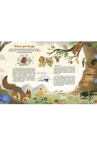 Вилла А. Кто живёт в лесу? Иллюстрированный атлас животных