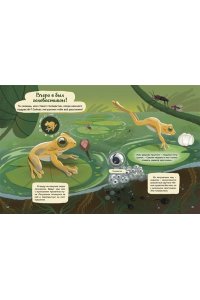 Вилла А. Кто живёт в лесу? Иллюстрированный атлас животных