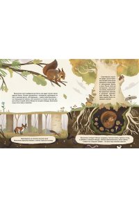 Вилла А. Кто живёт в лесу? Иллюстрированный атлас животных