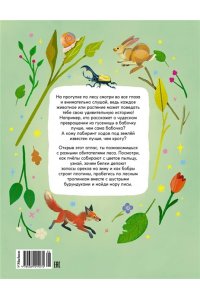 Вилла А. Кто живёт в лесу? Иллюстрированный атлас животных