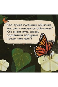 Вилла А. Кто живёт в лесу? Иллюстрированный атлас животных