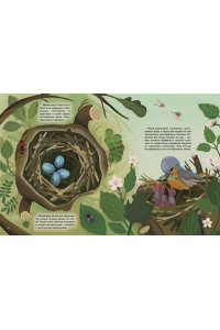 Вилла А. Кто живёт в лесу? Иллюстрированный атлас животных