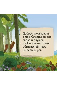 Вилла А. Кто живёт в лесу? Иллюстрированный атлас животных