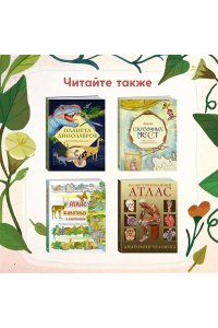 Вилла А. Кто живёт в лесу? Иллюстрированный атлас животных