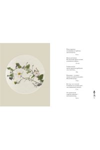 Мир в капле росы. Весна. Лето. Хайку на все времена